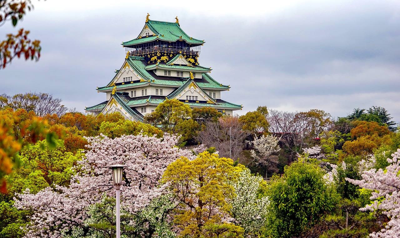 中卫追寻梦想的起点：为何选择高考后去日本留学？